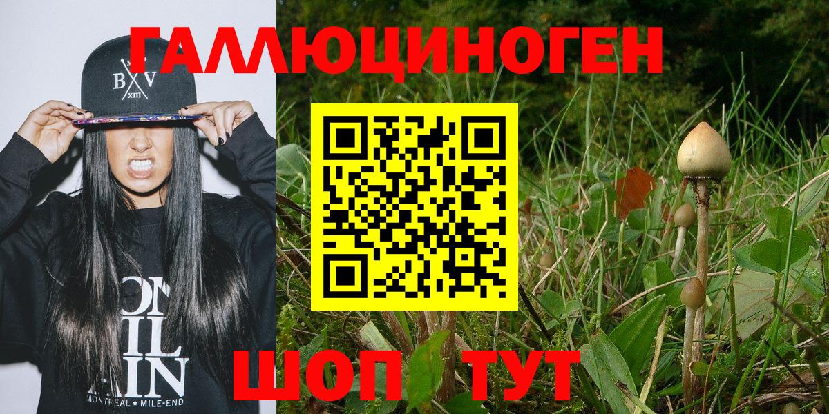 Галлюциногенные грибы мицелий Киров