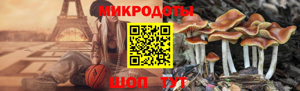 Галлюциногенные грибы Magic Shrooms  Вход с VPN  Киров 